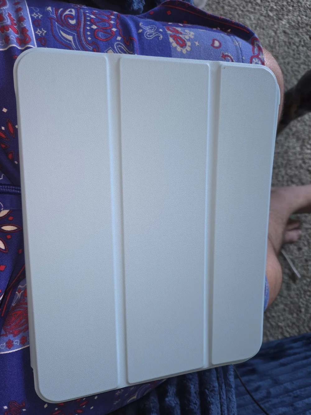 Ipad 11th Gen Case